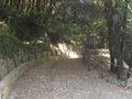 Parco Naturale 