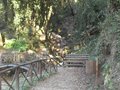 Parco Naturale 