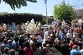 SDC16579